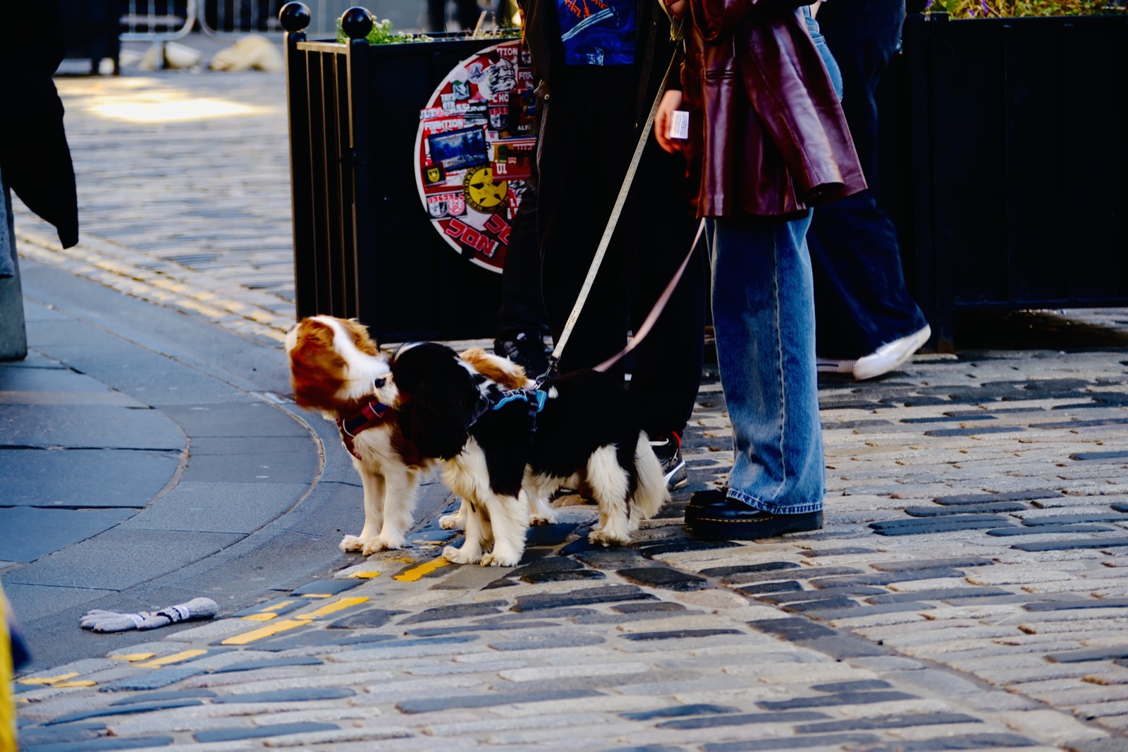 United Kingdom 7